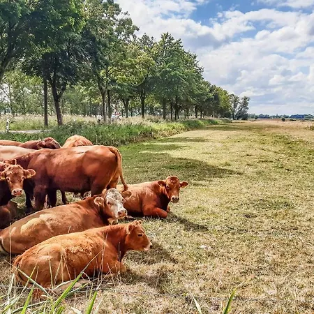 Big Apple Tatil Evi *