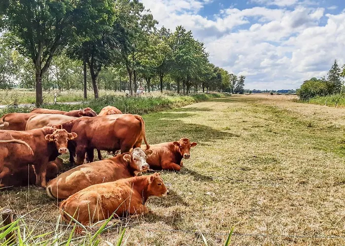 Big Apple Casa vacanze *